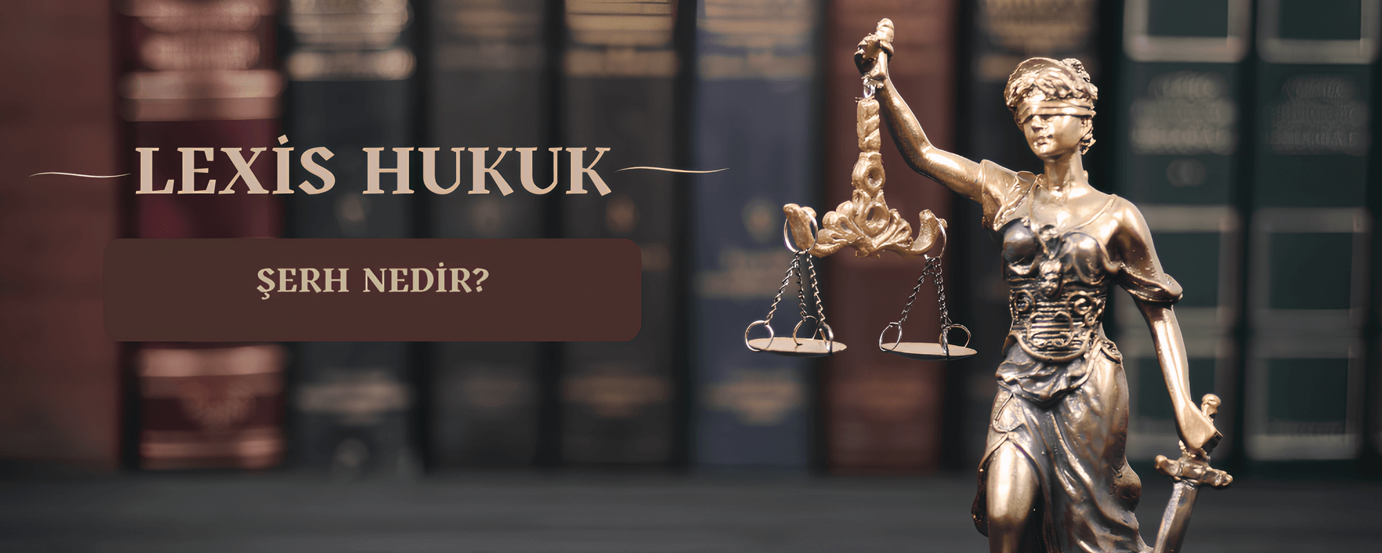 Şerh Nedir? 